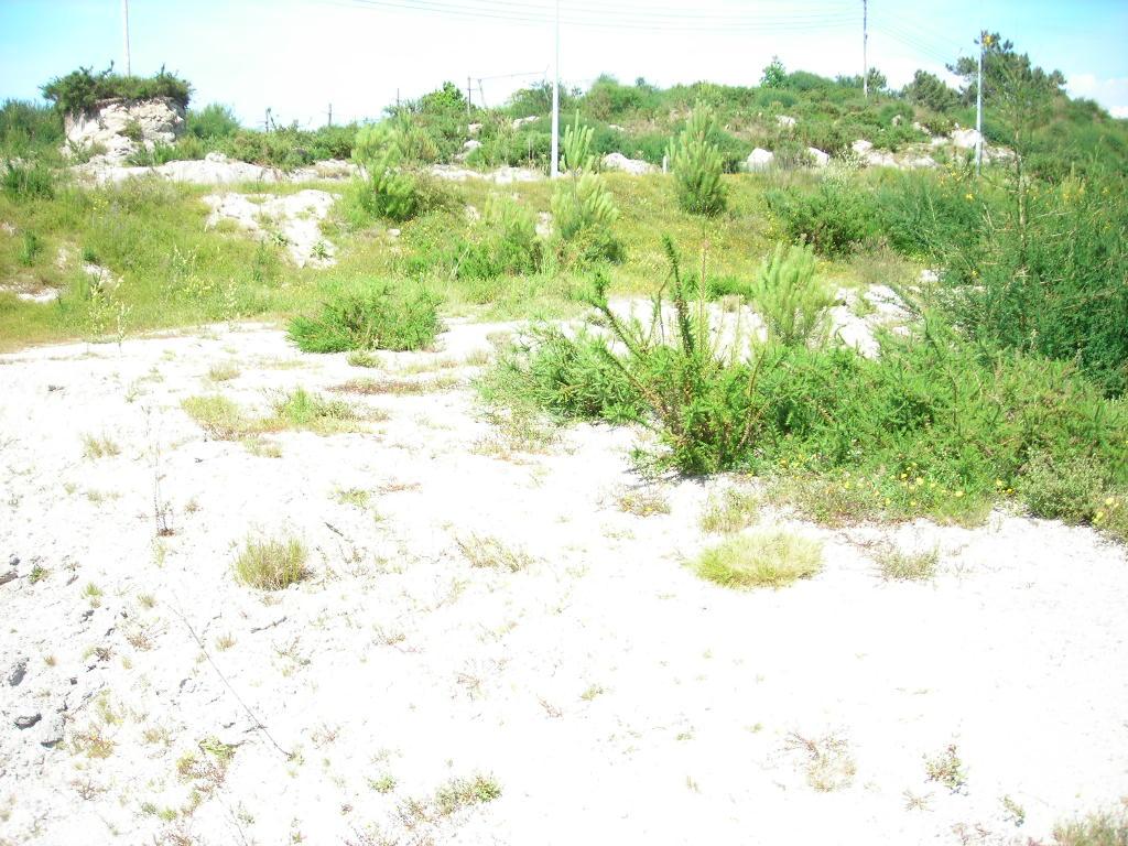 Terreno  Venda em Monsul,Póvoa de Lanhoso