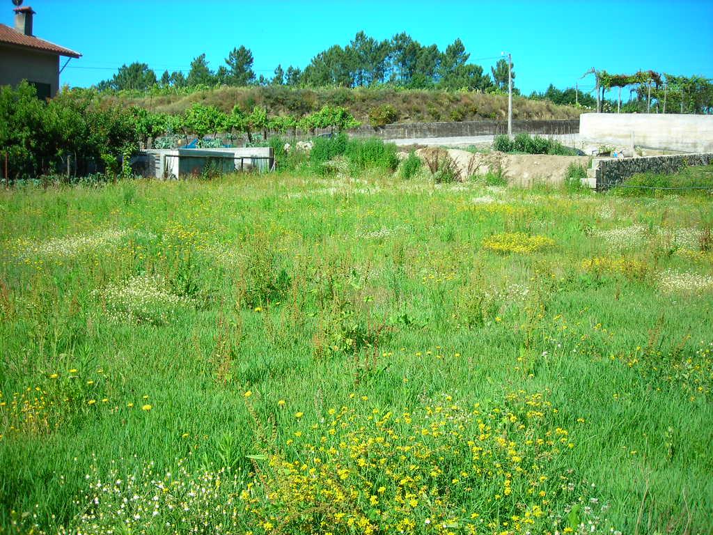 Terreno  Venda em Pico de Regalados, Gondiães e Mós,Vila Verde