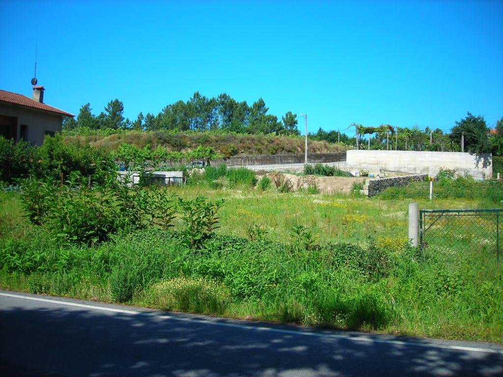 Terreno  Venda em Pico de Regalados, Gondiães e Mós,Vila Verde