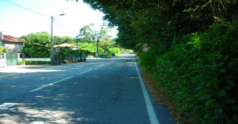 Terreno  Venda em Pico de Regalados, Gondiães e Mós,Vila Verde