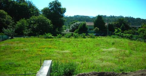 Terreno  Venda em Pico de Regalados, Gondiães e Mós,Vila Verde