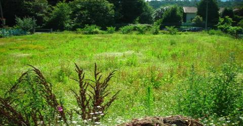Terreno  Venda em Pico de Regalados, Gondiães e Mós,Vila Verde