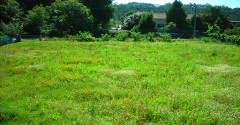 Terreno  Venda em Pico de Regalados, Gondiães e Mós,Vila Verde