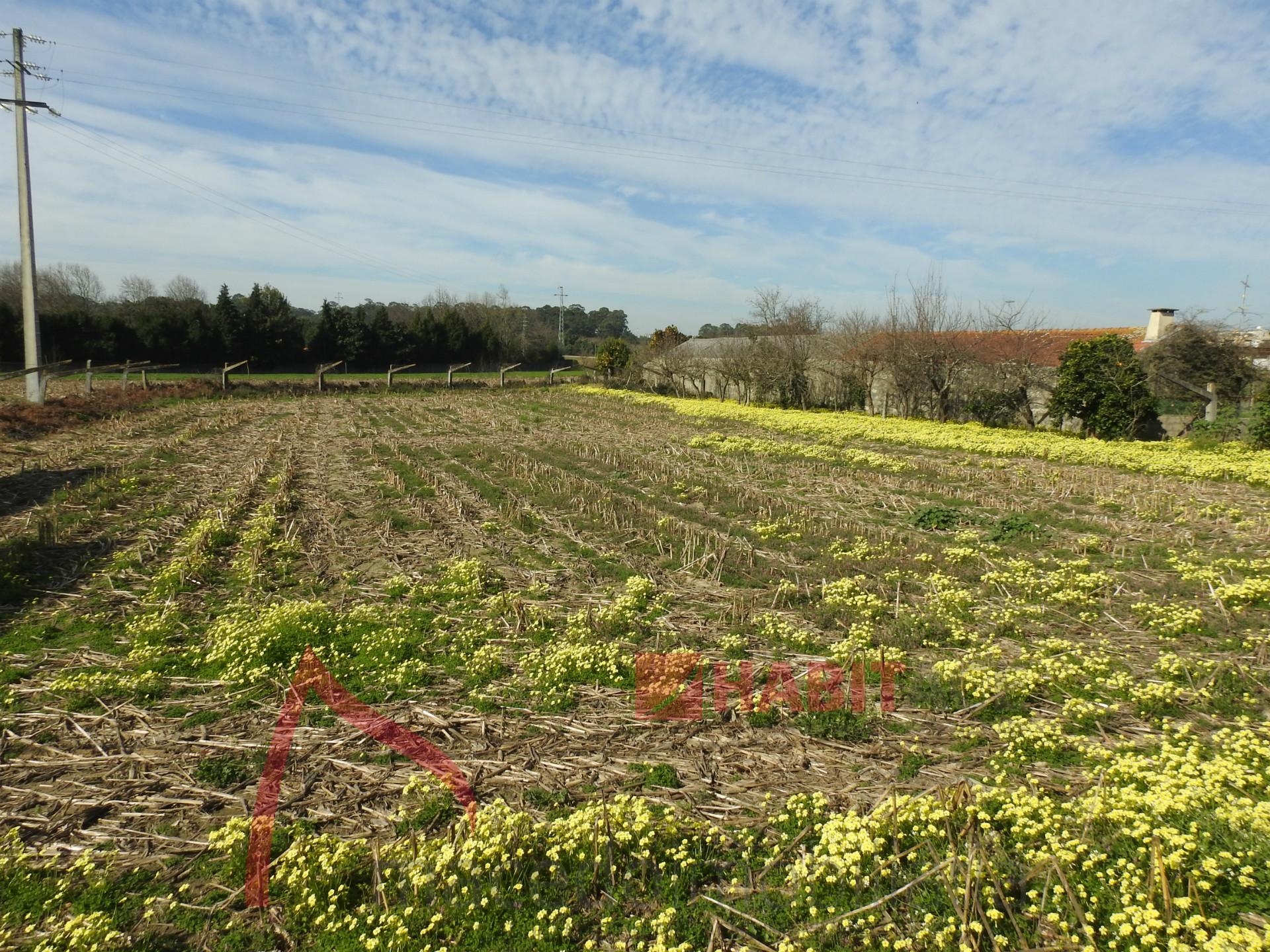 Terreno Para Construção  Venda em Castêlo da Maia,Maia