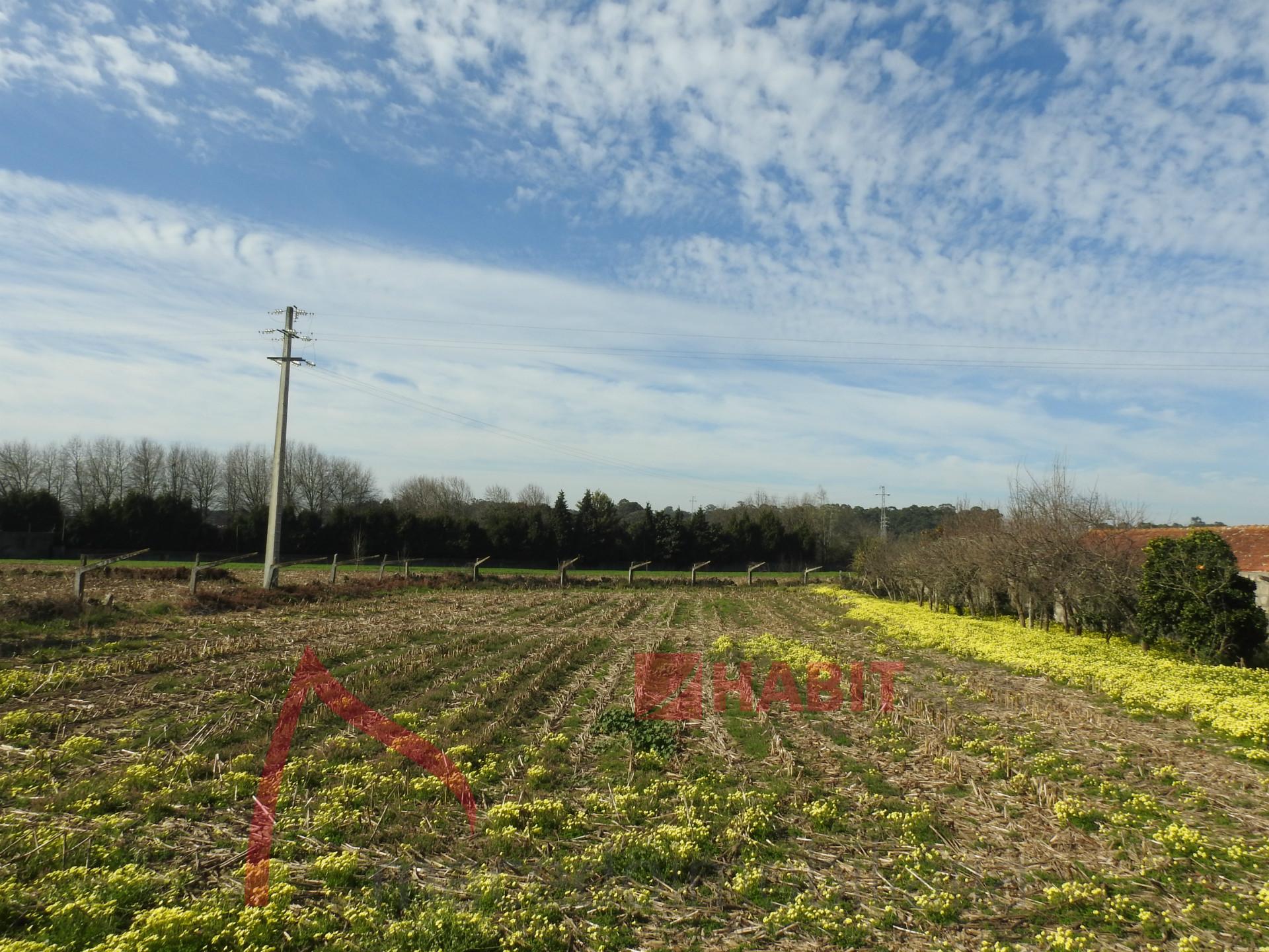 Terreno Para Construção  Venda em Castêlo da Maia,Maia