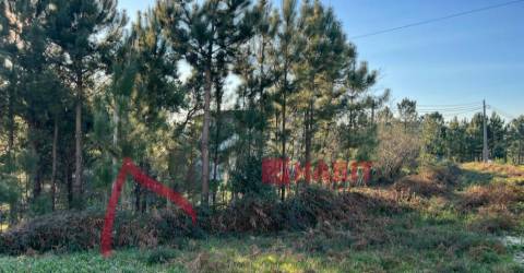 Lotes em São Mamede para venda  1400m2