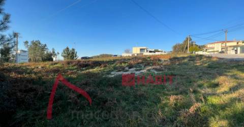 Lotes em São Mamede para venda  1400m2