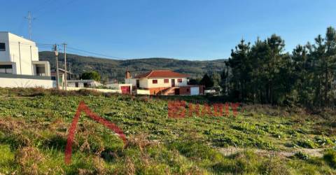 Lotes em São Mamede para venda  1400m2