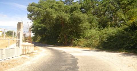 Lote para construção de moradia com 8000m²