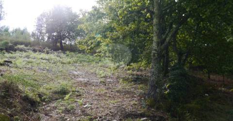 Terreno com duas casas para restauro com 2950m²