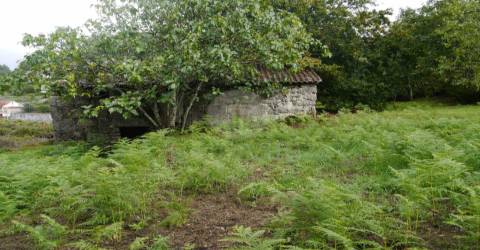 Terreno com duas casas para restauro com 2950m²