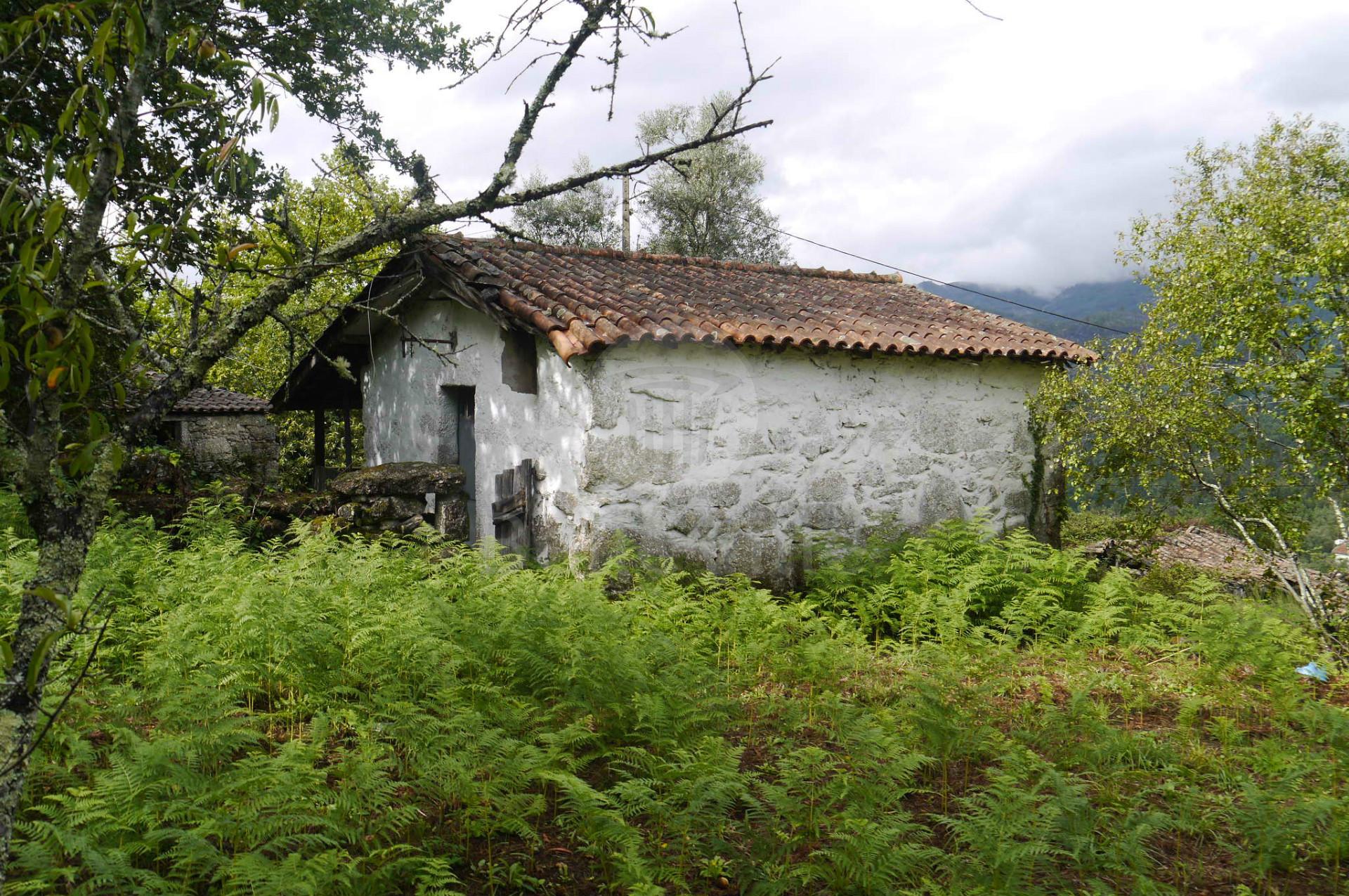 Terreno com duas casas para restauro com 2950m²