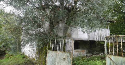 Terreno com duas casas para restauro com 2950m²