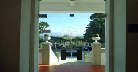 Hotel  Venda em Abrunhosa-a-Velha,Mangualde