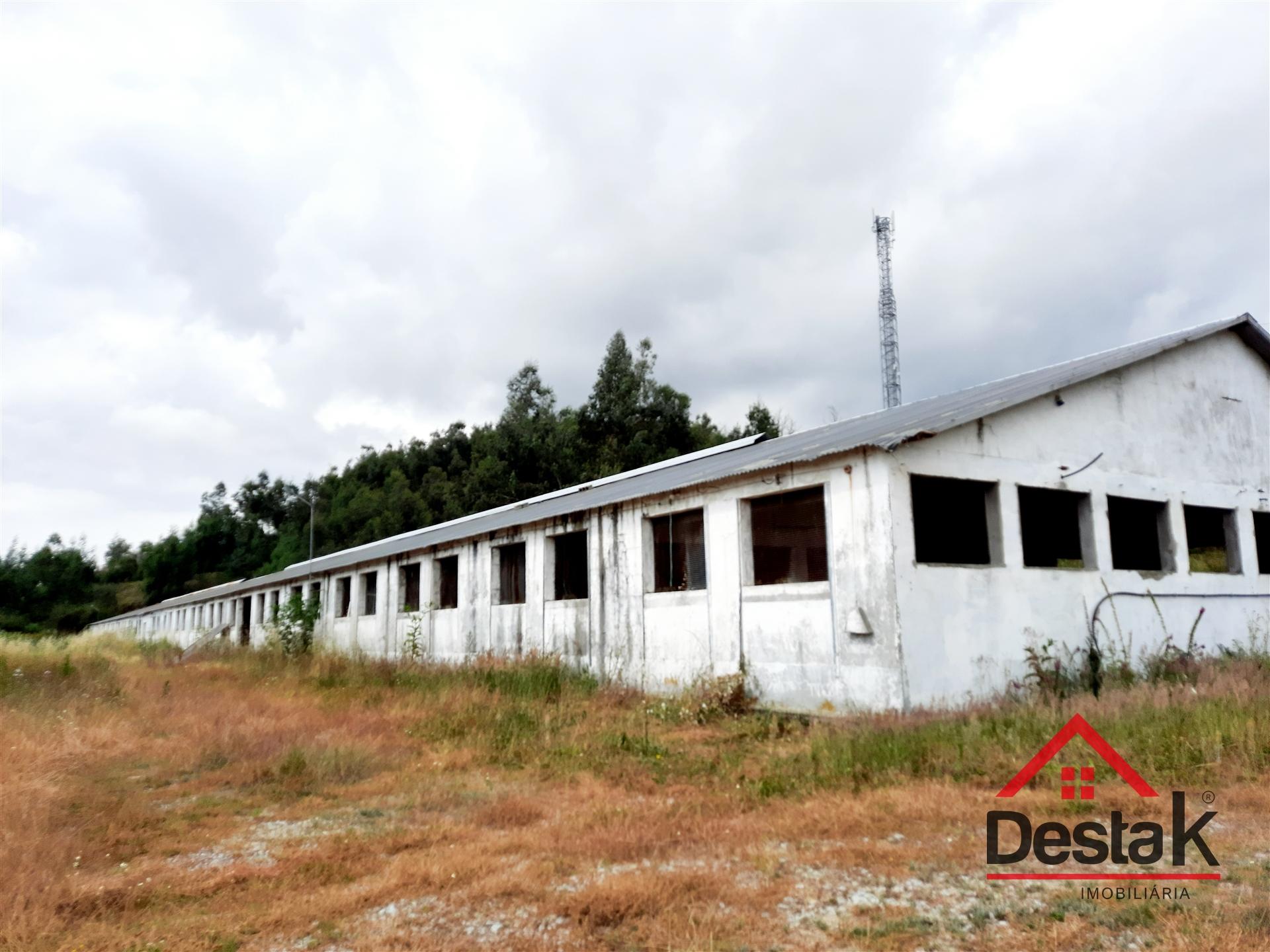 Quinta com 3 aviários e arrumos , Tondela