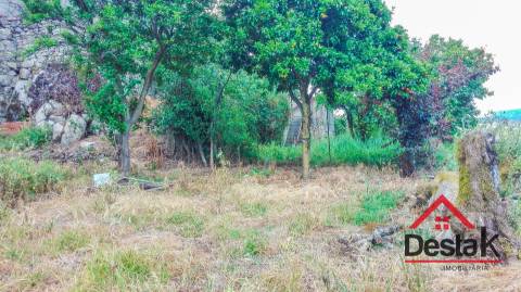 Moradia para Restaurar  Venda em Destriz e Reigoso,Oliveira de Frades