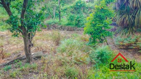 Moradia para Restaurar  Venda em Destriz e Reigoso,Oliveira de Frades