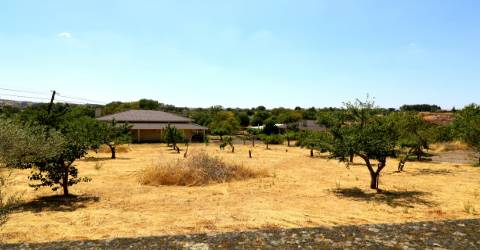 Moradia Isolada T4 Venda em Parada e Faílde,Bragança