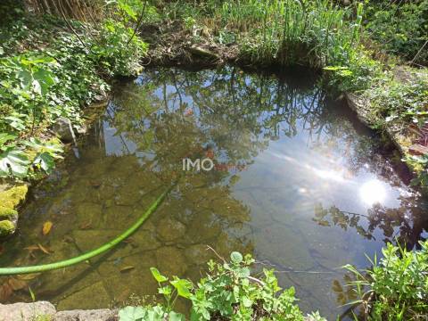 Terreno Rústico  Venda em Santiago Maior,Castelo de Vide