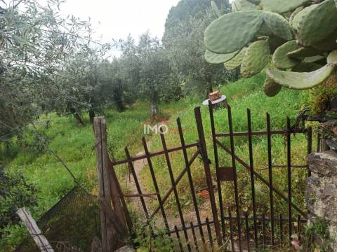 Terreno Rústico  Venda em Santiago Maior,Castelo de Vide