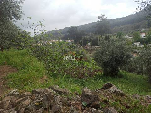 Terreno Rústico  Venda em Santiago Maior,Castelo de Vide