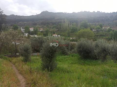 Terreno Rústico  Venda em Santiago Maior,Castelo de Vide