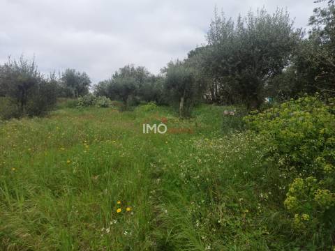Terreno Rústico  Venda em Santiago Maior,Castelo de Vide