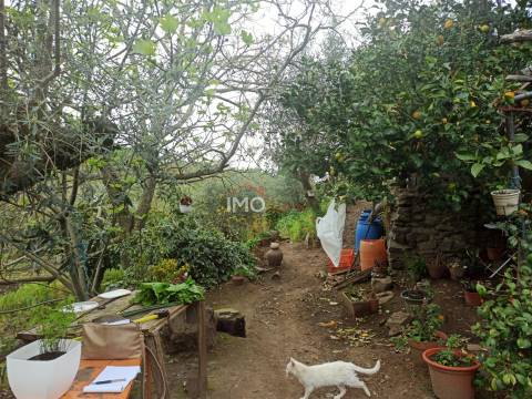 Terreno Rústico  Venda em Santiago Maior,Castelo de Vide