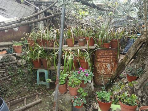 Terreno Rústico  Venda em Santiago Maior,Castelo de Vide