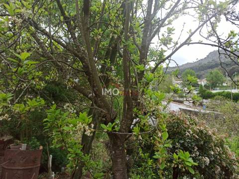 Terreno Rústico  Venda em Santiago Maior,Castelo de Vide