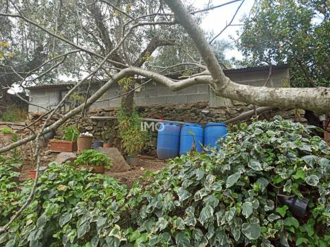 Terreno Rústico  Venda em Santiago Maior,Castelo de Vide