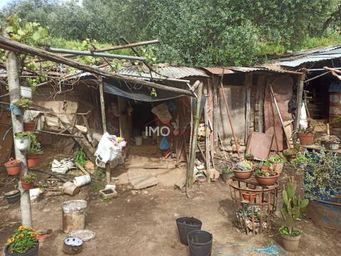 Terreno Rústico  Venda em Santiago Maior,Castelo de Vide