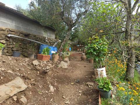 Terreno Rústico  Venda em Santiago Maior,Castelo de Vide