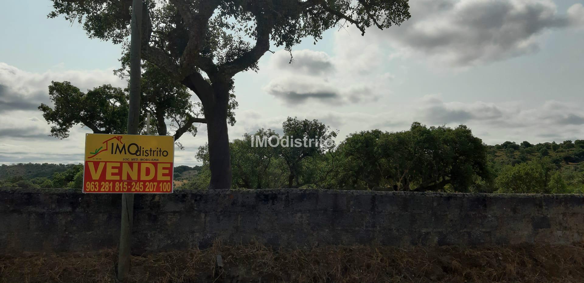 Terreno  Venda em Espírito Santo, Nossa Senhora da Graça e São Simão,Nisa