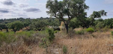 Terreno  Venda em Espírito Santo, Nossa Senhora da Graça e São Simão,Nisa