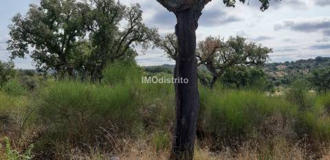 Terreno  Venda em Espírito Santo, Nossa Senhora da Graça e São Simão,Nisa
