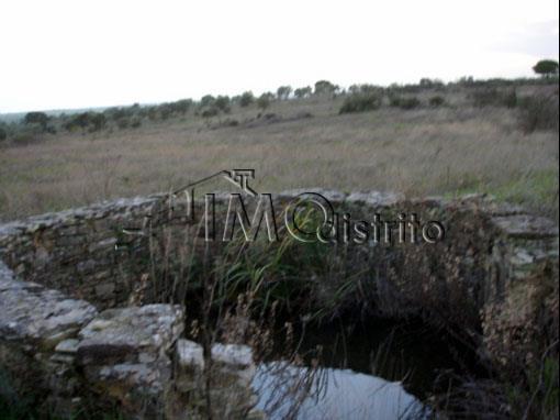 Terreno  Venda em Espírito Santo, Nossa Senhora da Graça e São Simão,Nisa