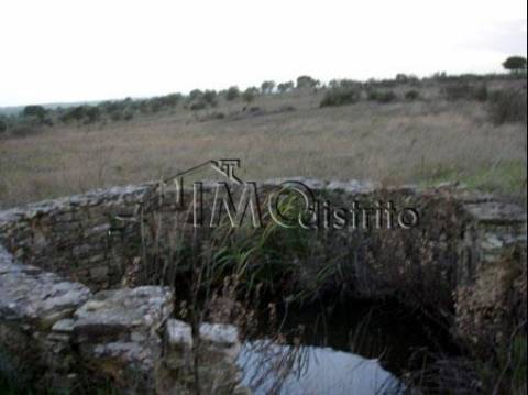 Terreno  Venda em Espírito Santo, Nossa Senhora da Graça e São Simão,Nisa