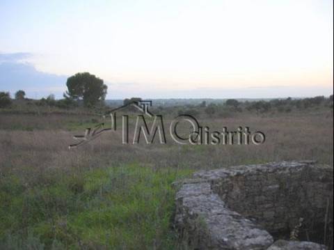 Terreno  Venda em Espírito Santo, Nossa Senhora da Graça e São Simão,Nisa