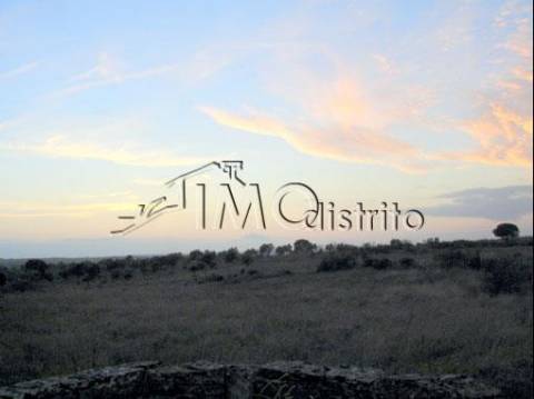 Terreno  Venda em Espírito Santo, Nossa Senhora da Graça e São Simão,Nisa