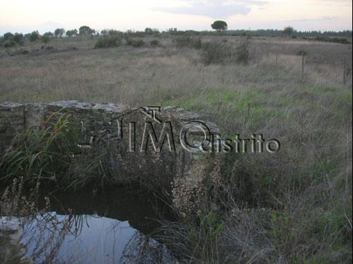 Terreno  Venda em Espírito Santo, Nossa Senhora da Graça e São Simão,Nisa