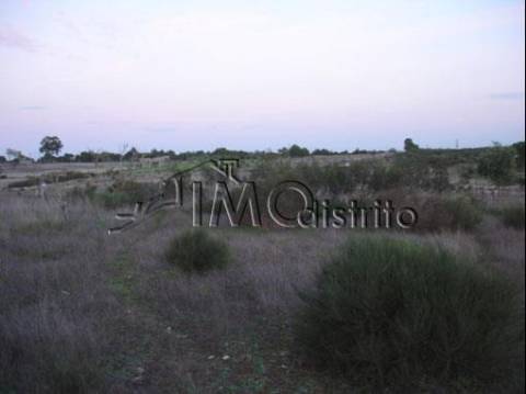 Terreno  Venda em Espírito Santo, Nossa Senhora da Graça e São Simão,Nisa