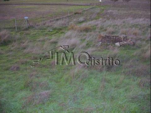 Terreno  Venda em Espírito Santo, Nossa Senhora da Graça e São Simão,Nisa