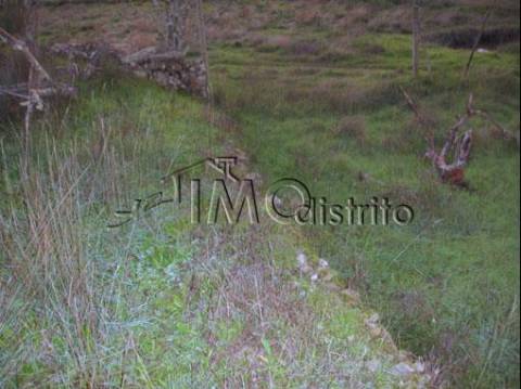 Terreno  Venda em Espírito Santo, Nossa Senhora da Graça e São Simão,Nisa