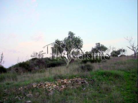 Terreno  Venda em Espírito Santo, Nossa Senhora da Graça e São Simão,Nisa