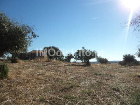 Terreno Rústico  Venda em Nossa Senhora da Graça de Póvoa e Meadas,Castelo de Vide