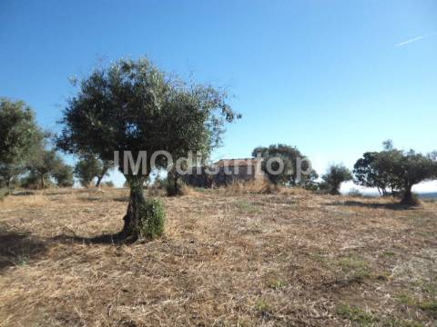 Terreno Rústico  Venda em Nossa Senhora da Graça de Póvoa e Meadas,Castelo de Vide