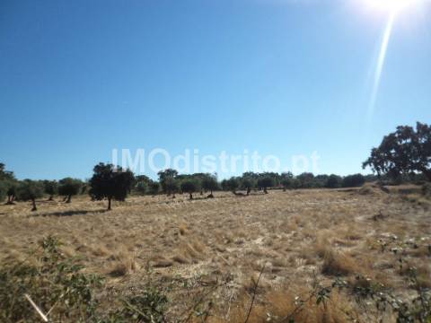 Terreno Rústico  Venda em Nossa Senhora da Graça de Póvoa e Meadas,Castelo de Vide