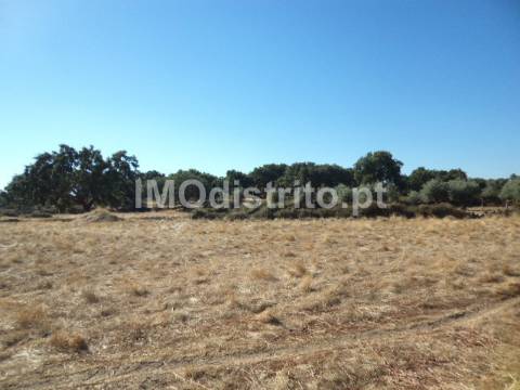 Terreno Rústico  Venda em Nossa Senhora da Graça de Póvoa e Meadas,Castelo de Vide