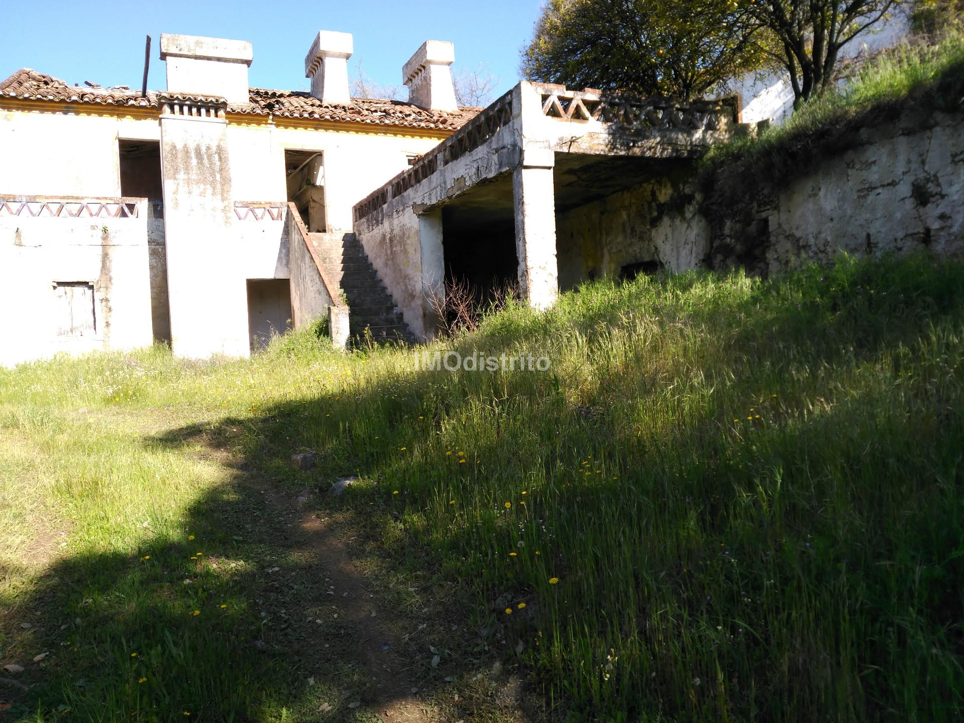 Quinta T6+2 Venda em Ribeira de Nisa e Carreiras,Portalegre